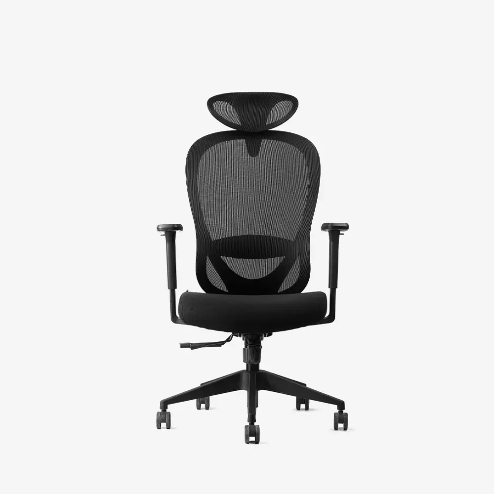 Neodax Ava Ergonomic Mesh Chair, Carbon Black