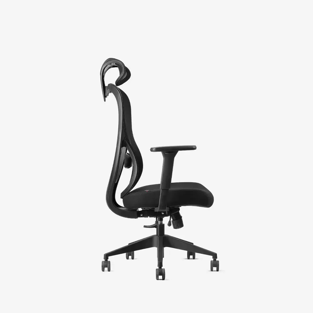 Neodax Ava Ergonomic Mesh Chair, Carbon Black