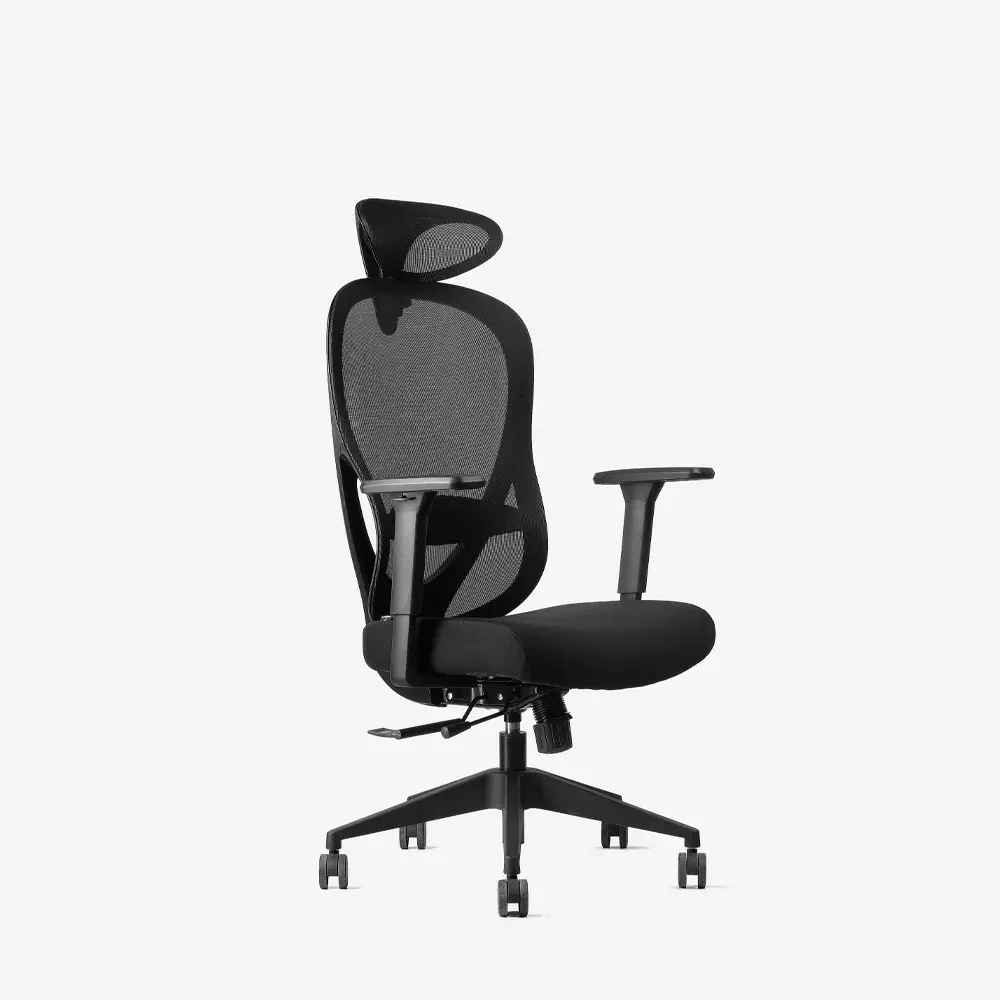 Neodax Ava Ergonomic Mesh Chair, Carbon Black